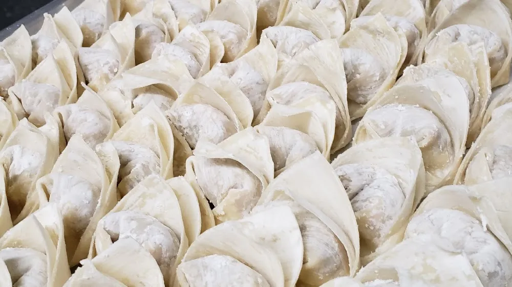 Beef and Pork Wontons
